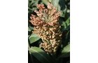 Property photo 76 - LAND AUCTION, 3255+/- Acres offered in 13 Tracts
